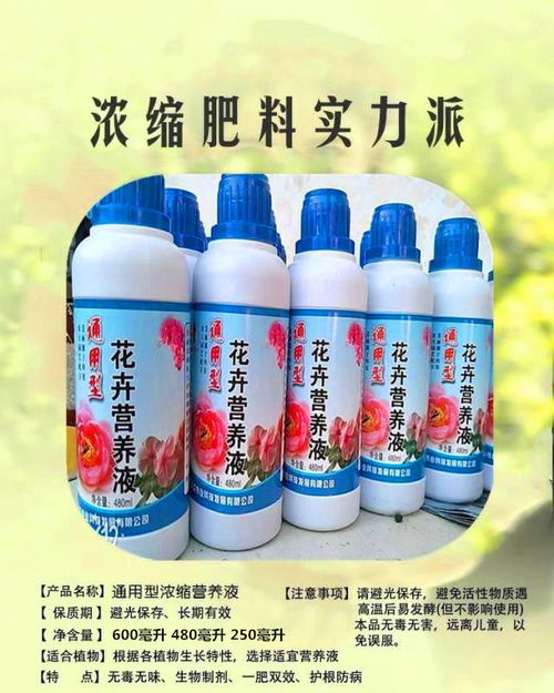 轻松掌握4-2-1营养液养殖秘籍 盆栽鲜花的绿色护身符