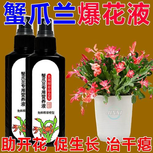 急救液】蟹爪兰营养液室内枯萎倒伏发黄懒人腐烂液体肥水培营养液